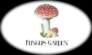 Visit the Fungus Garden