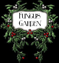 hollyTitleFungusGarden.gif (11072 bytes)