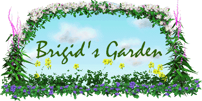 springTitleBrigidsGarden.gif (41236 bytes)